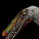 Illustration for article titled Massive Fossilized Pterosaur Colony Most Important Ever Found